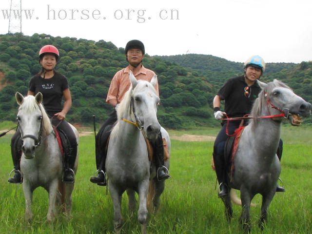 梅林關外的一個馬場