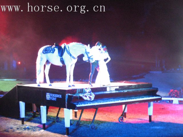 再谈泰国＂Passionata Horse Show＂