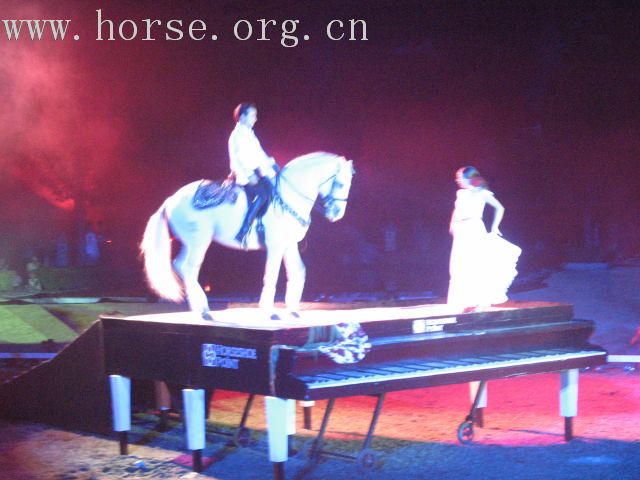 再谈泰国＂Passionata Horse Show＂