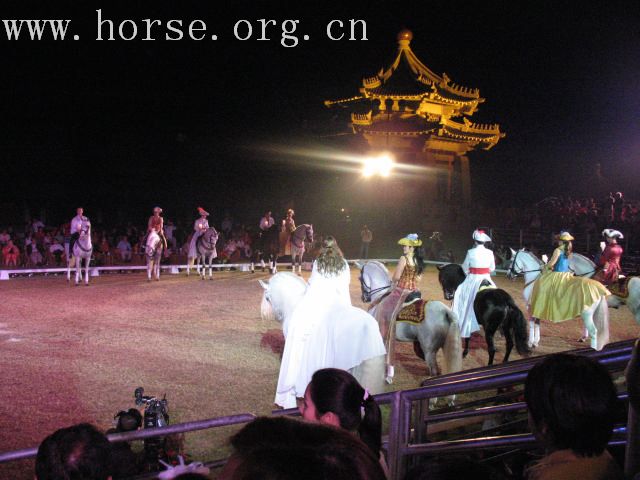 再谈泰国＂Passionata Horse Show＂