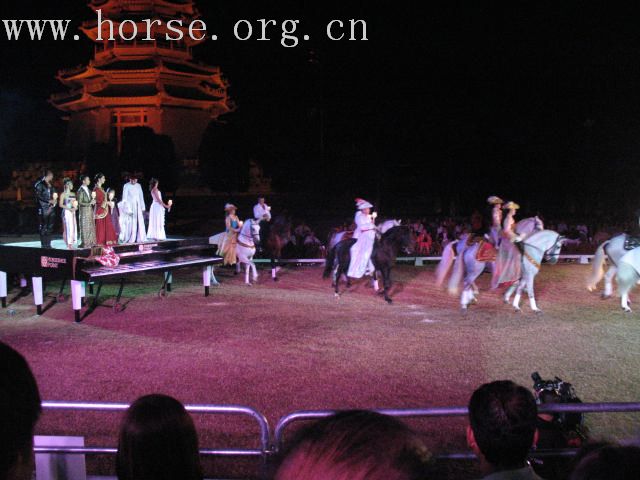 再谈泰国＂Passionata Horse Show＂