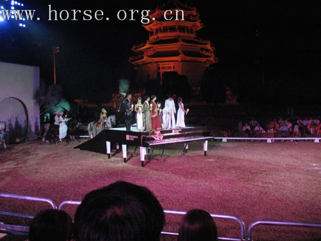 再谈泰国＂Passionata Horse Show＂