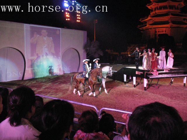 再谈泰国＂Passionata Horse Show＂