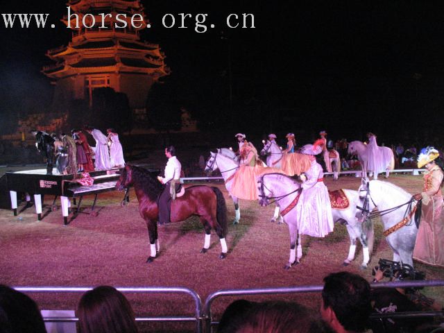 再谈泰国＂Passionata Horse Show＂