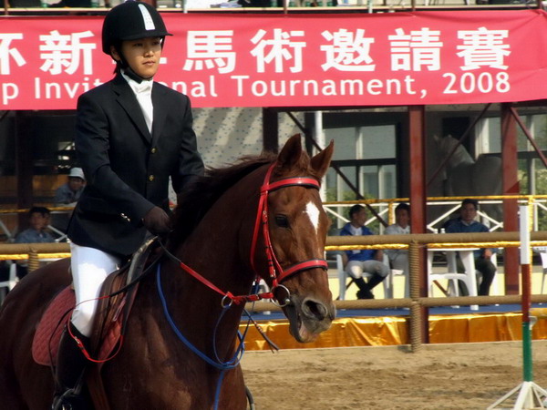 关注马术运动  关注标卓马术会