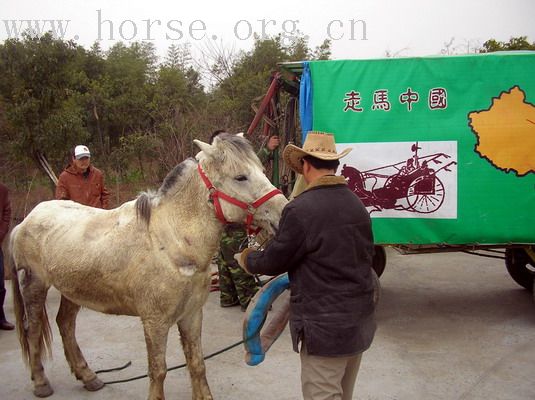 走马中国到杭州啦！----让我们来看一看这个骑马的许三多