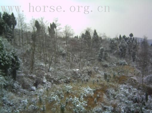 长城上面的的雪景