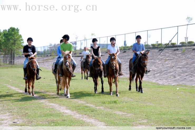 上海奔腾年代野外骑马场