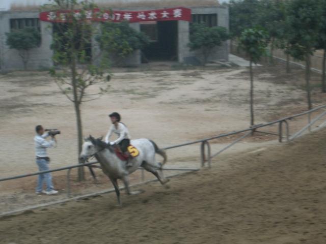 深圳育马山庄活动图片