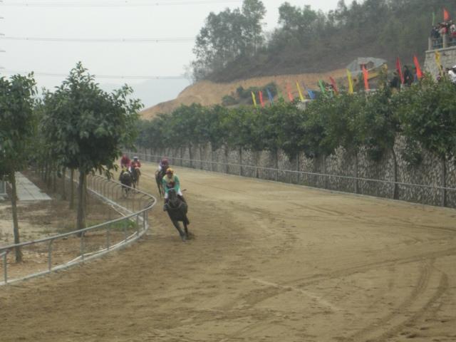 深圳育马山庄活动图片