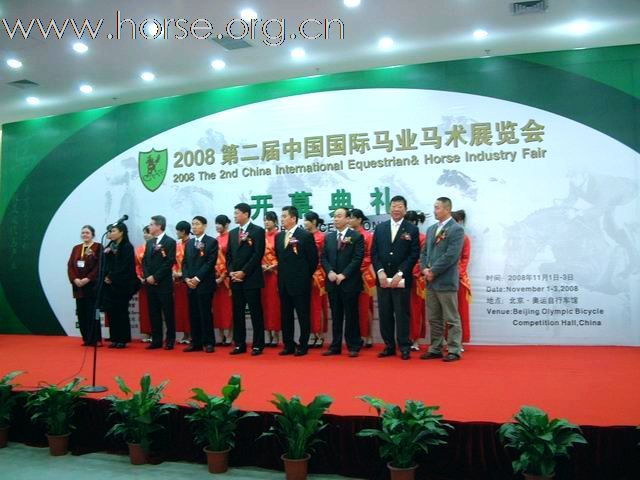 近距离接触--直击2008中国马术展览会