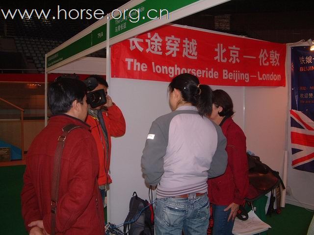 近距离接触--直击2008中国马术展览会