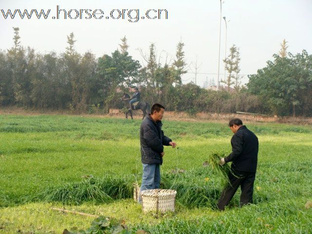 非盈利组织--太仓马友会