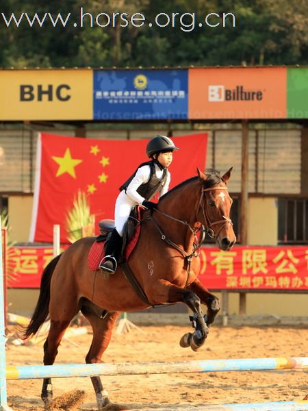 小将骑手   大将风度