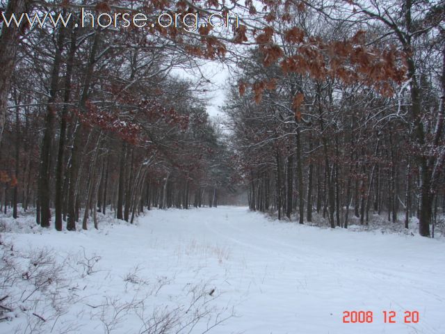 第二场小雪