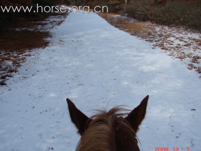 暴风雪中练蹄迹线