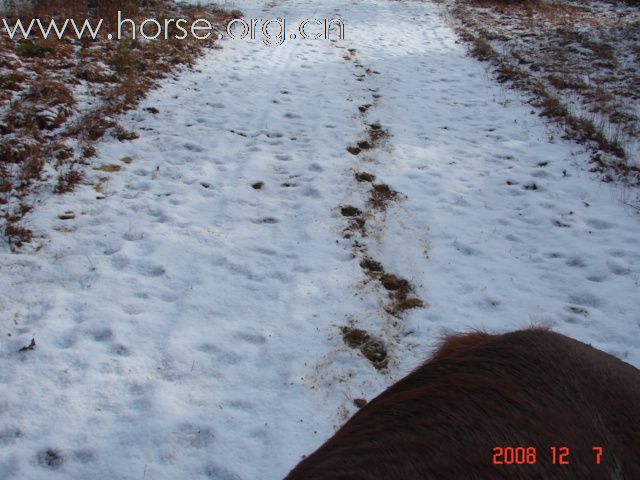 暴风雪中练蹄迹线