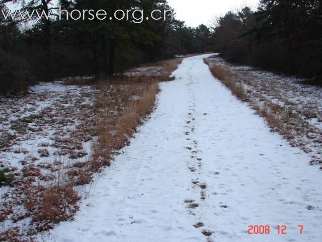 暴风雪中练蹄迹线