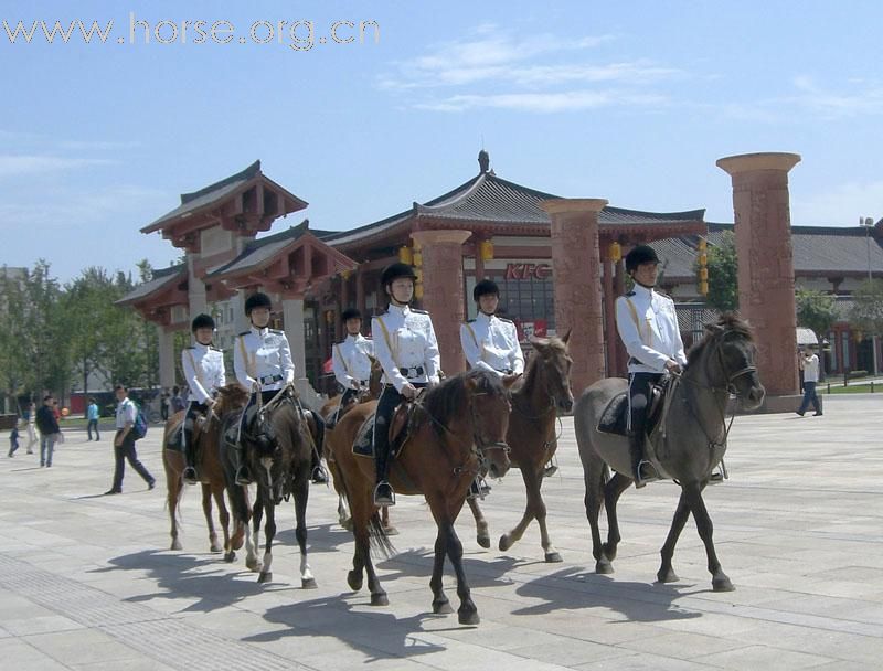 帮助您组建骑兵（骑警）队