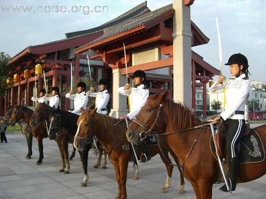 帮助您组建骑兵（骑警）队