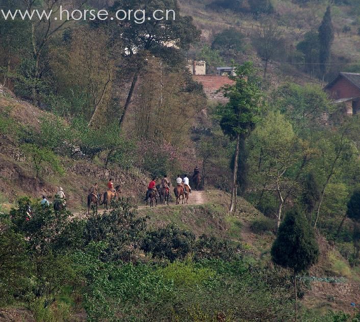 5月的 玉带湖  喝茶 赏花