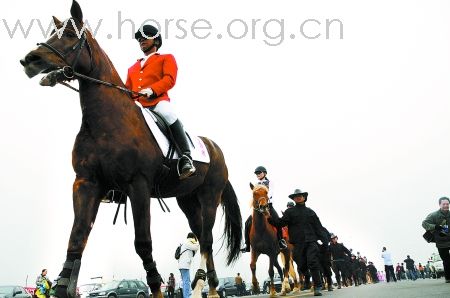 在2008郑开国际马拉松上，媒体报道的黄河大草原马术仪仗队