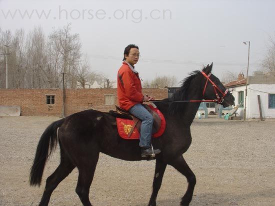 老马来到太师庄