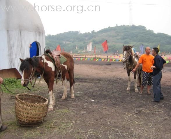 [灌水]   5.1在重庆洋人街耍的片片