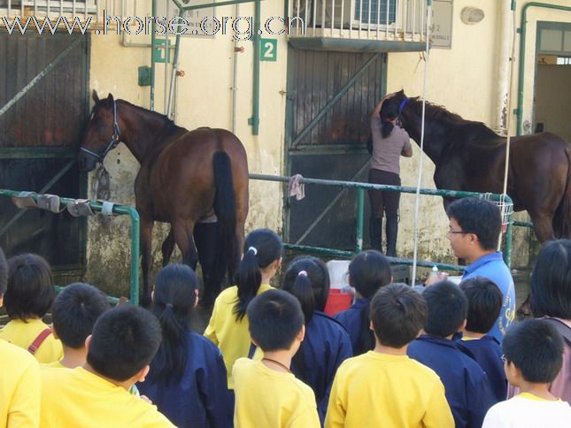 《香港馬術總會》通告 - 馬術運動推廣活動