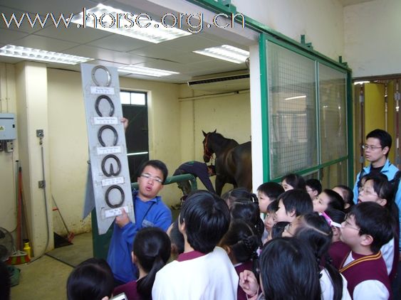 《香港馬術總會》通告 - 馬術運動推廣活動