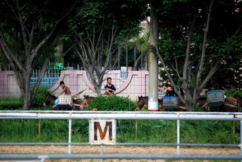 090608相聚大朗馬場 之 照片放送中