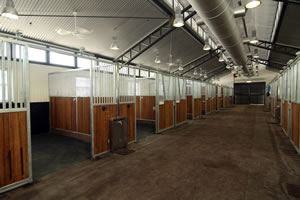 Lap of luxury for Olympic horses in Hong Kong