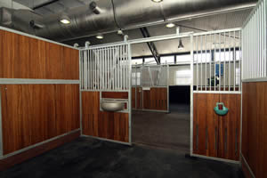 Lap of luxury for Olympic horses in Hong Kong