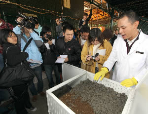 Lap of luxury for Olympic horses in Hong Kong