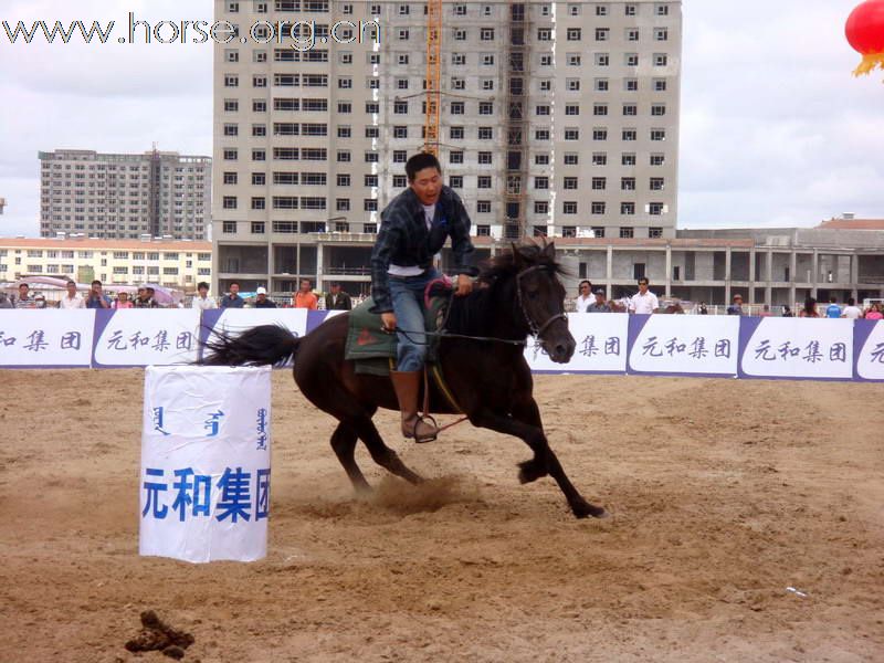 锡林浩特主题活动报道及绕桶赛结果公布