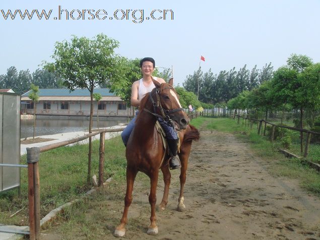 恭贺杨子洲马场筹建