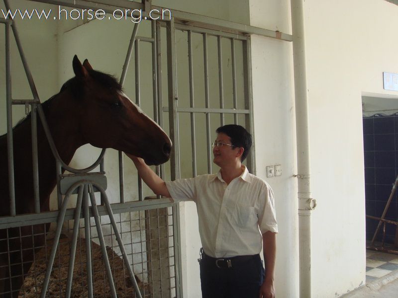 恭贺杨子洲马场筹建