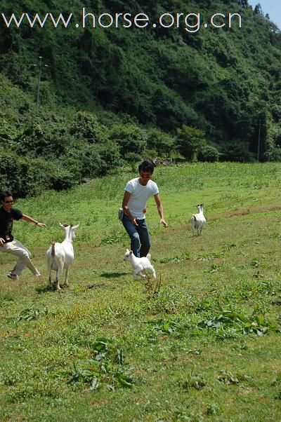 [贴图]5马疯仙女山行,回到童年!开心难忘.