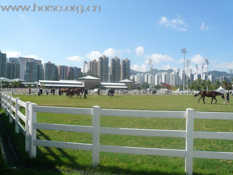 [贴图]08奥运马术之赛场内外