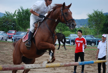 2008天麓骑术场地障碍常规赛(重阳站)比賽照片發表區