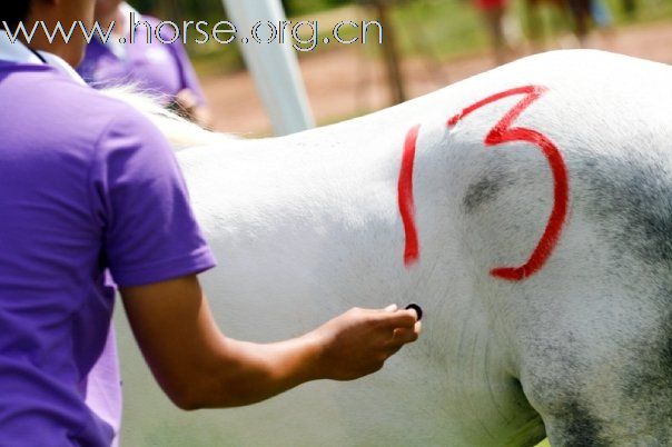 Endurance Program in Thailand 2009.09