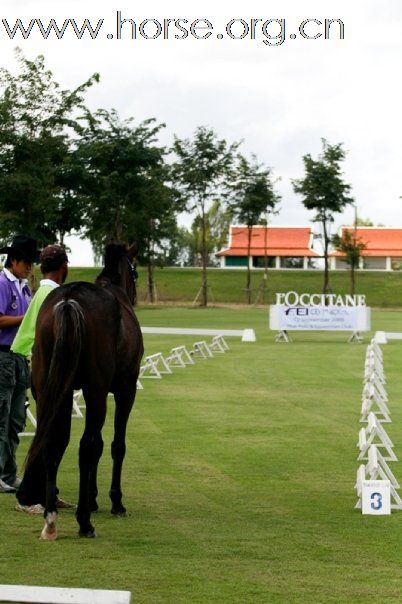 Endurance Program in Thailand 2009.09