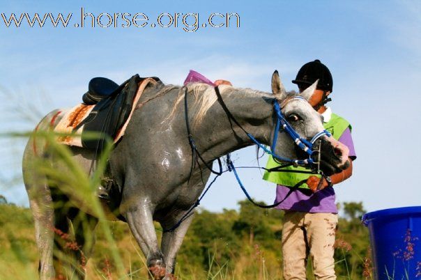 Endurance Program in Thailand 2009.09