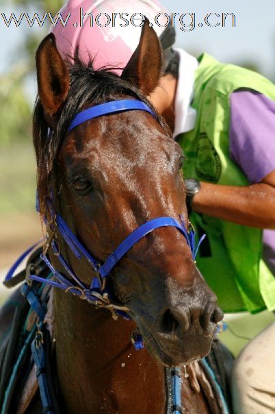 Endurance Program in Thailand 2009.09