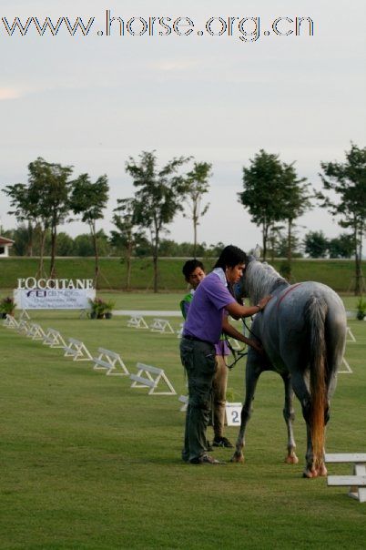 Endurance Program in Thailand 2009.09