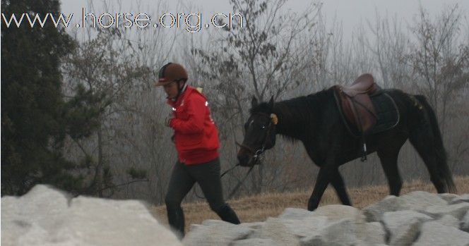 中国浙江马友新联盟 盟主 杰克-黑马 代表百得利奥迪队完成了北京永定河80公里的耐力赛！等待成绩