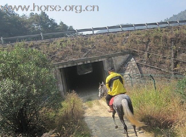 内蒙古锡林郭勒赛马场总教练粱建飞来永康骑马