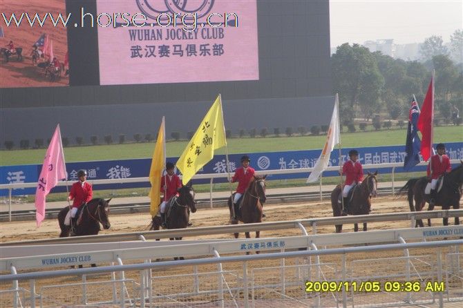 [贴图]重庆颐和马术运动俱乐部招聘（图片更新）