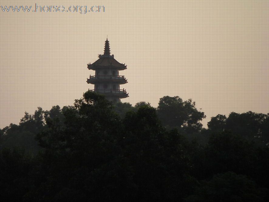 深圳 西麗湖騎馬俱樂部