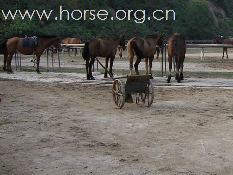 深圳 西麗湖騎馬俱樂部